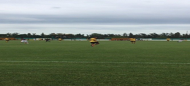 Flandria, Canario, jauregui