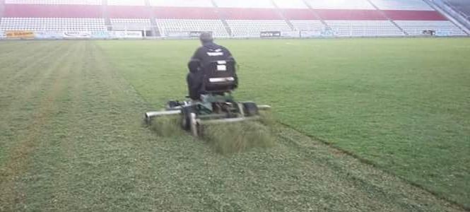 deportivo morón, gallo, campo de juego, resiembra, francisco urbano