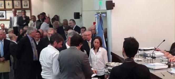 afa argentina asambleistas categorías