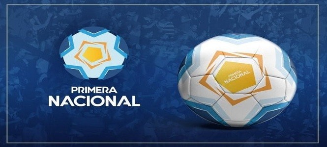 Primera Nacional, Formato, Torneo